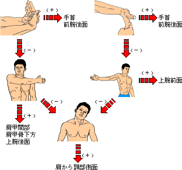 図3-3　上肢前後面・頭頚部側面の動きに制限のある症例
